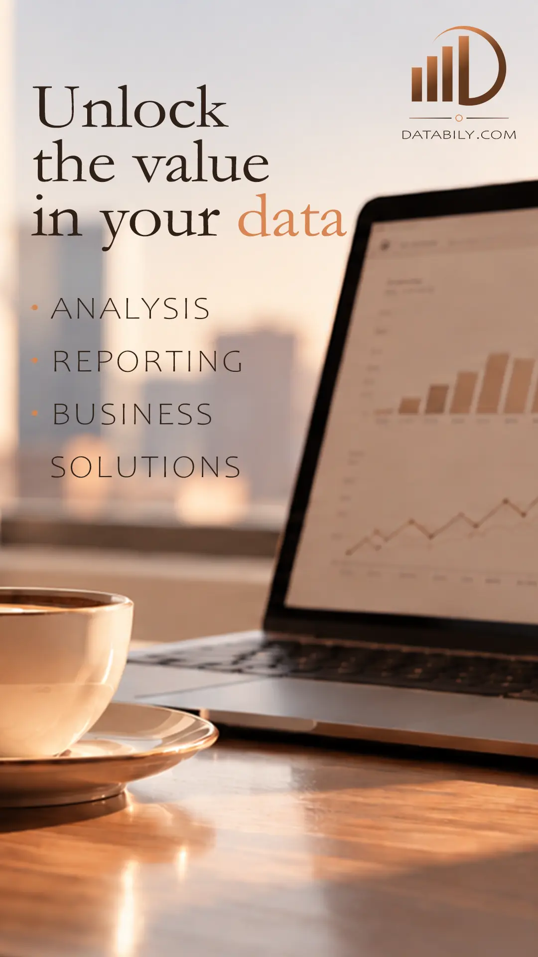 Databily.com. Unlock the value in your data. Analysis, reporting, business solutions.