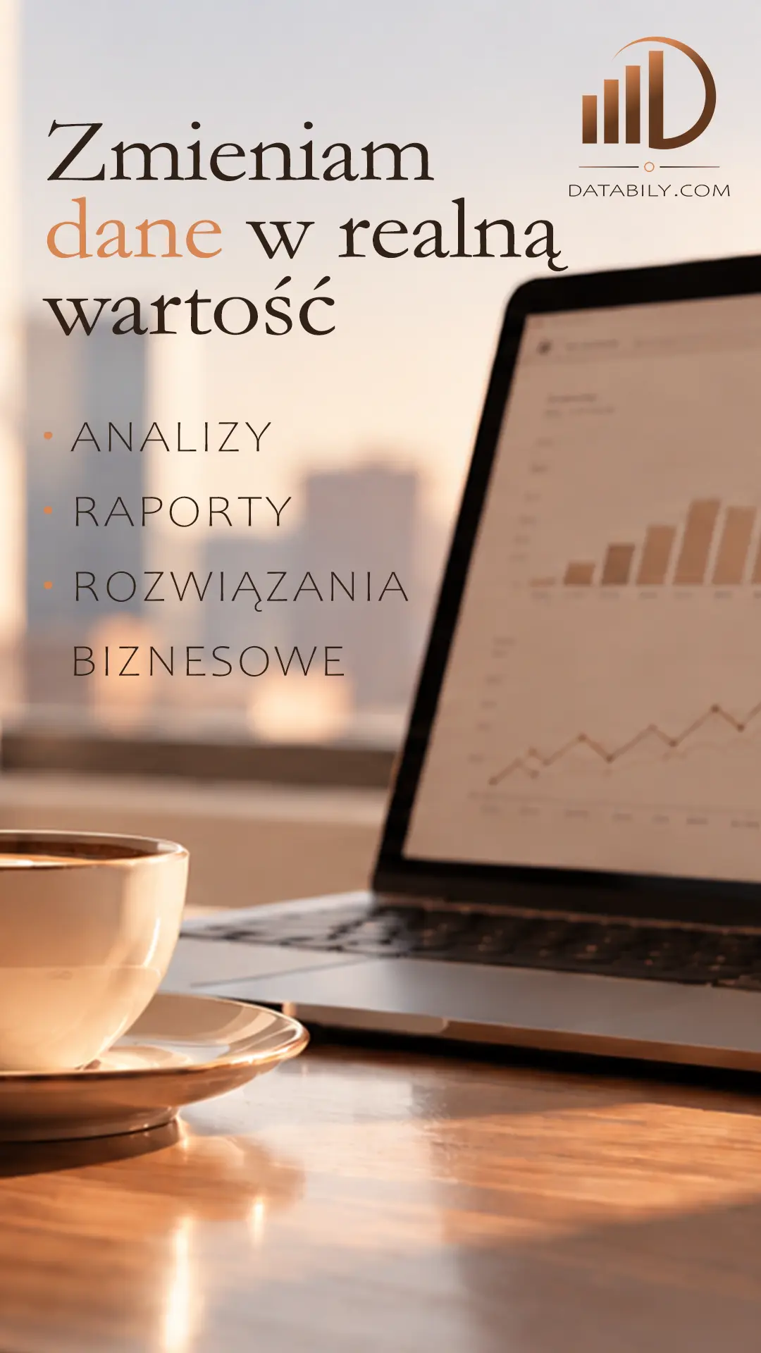 Databily.com. Zamieniam dane w realną wartość. Analizy, raporty, rozwiązania biznesowe.